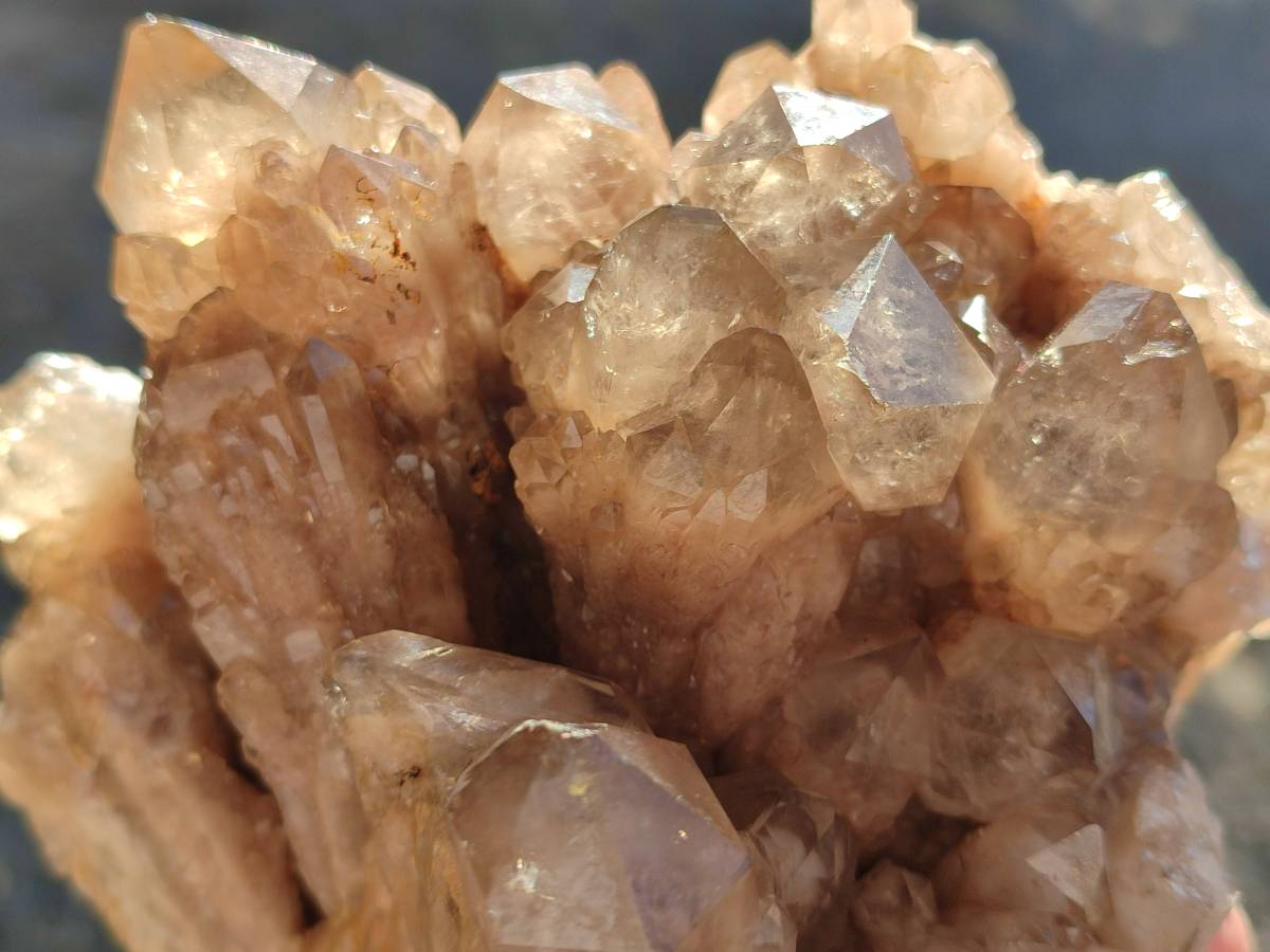 Natural Phantom Smokey Quartz Cluster x 1 From Luena, Congo - Toprock Gemstones and Minerals 