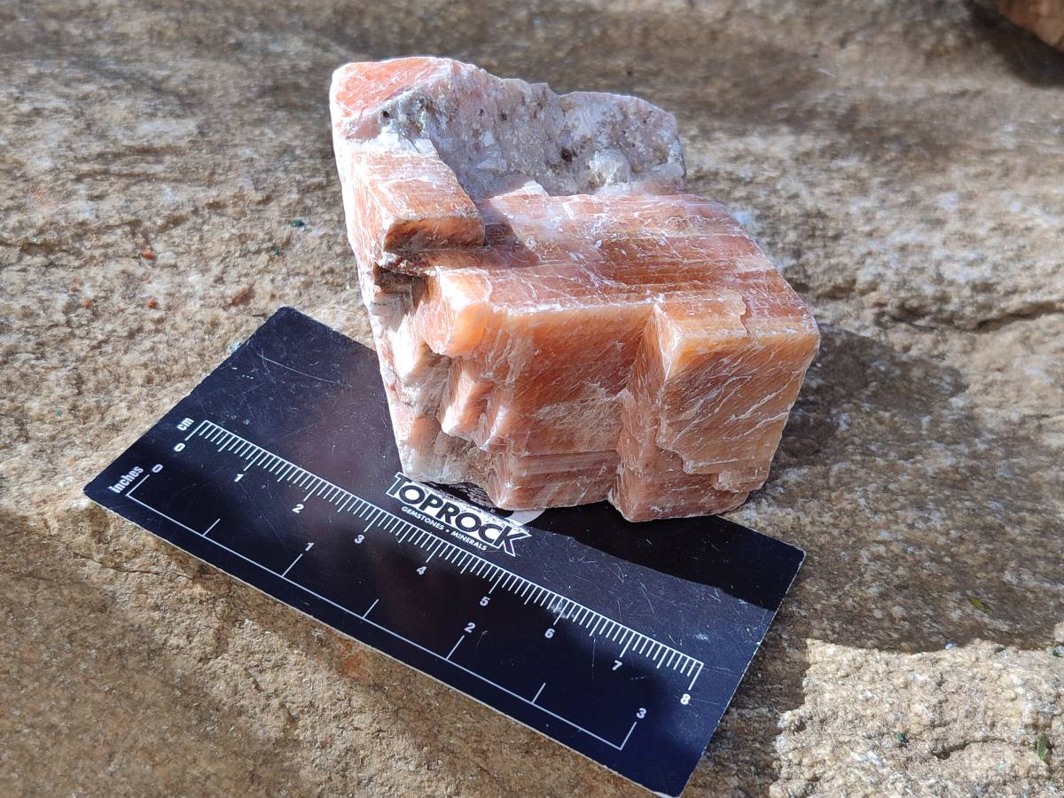 Natural Sunset Orange Calcite Specimens x 6 From Spitzkop, Namibia - Toprock Gemstones and Minerals 