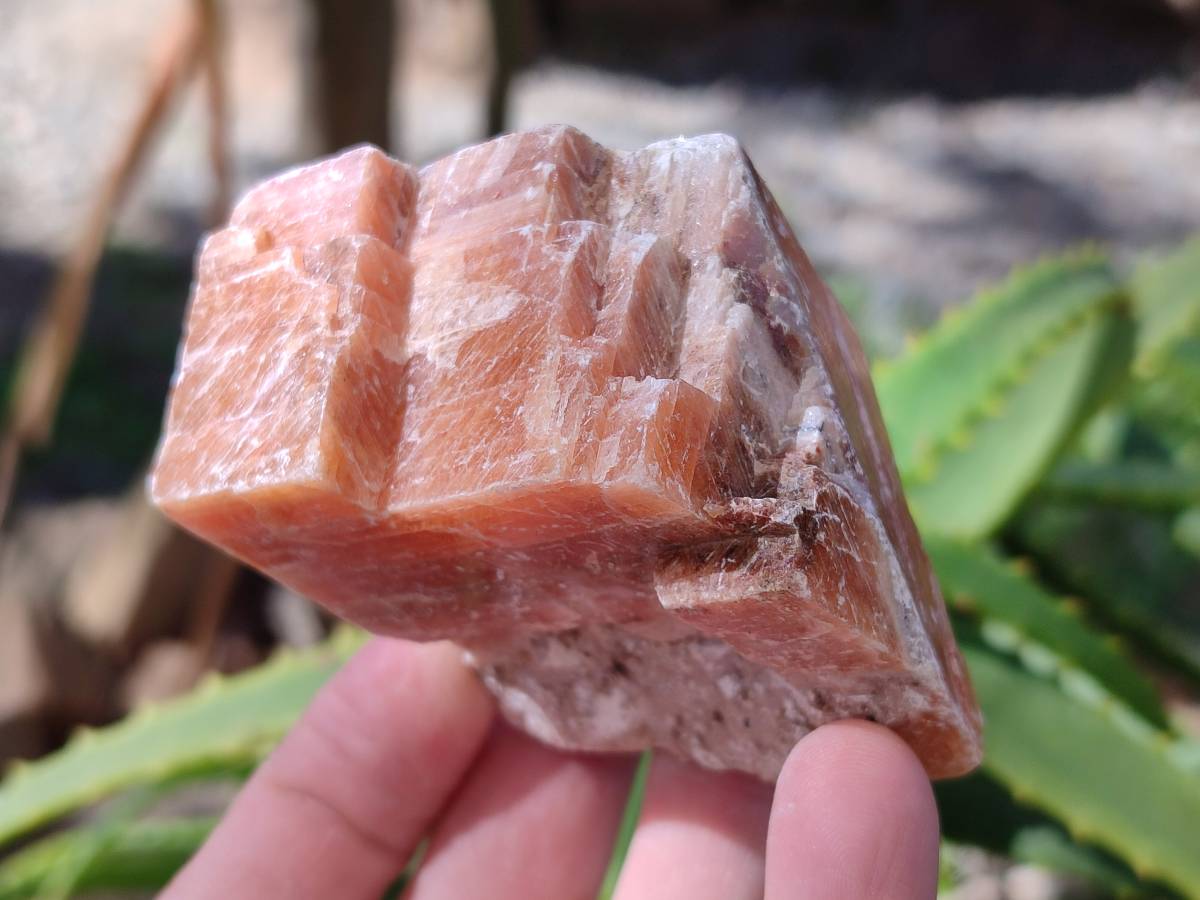 Natural Sunset Orange Calcite Specimens x 6 From Spitzkop, Namibia - Toprock Gemstones and Minerals 