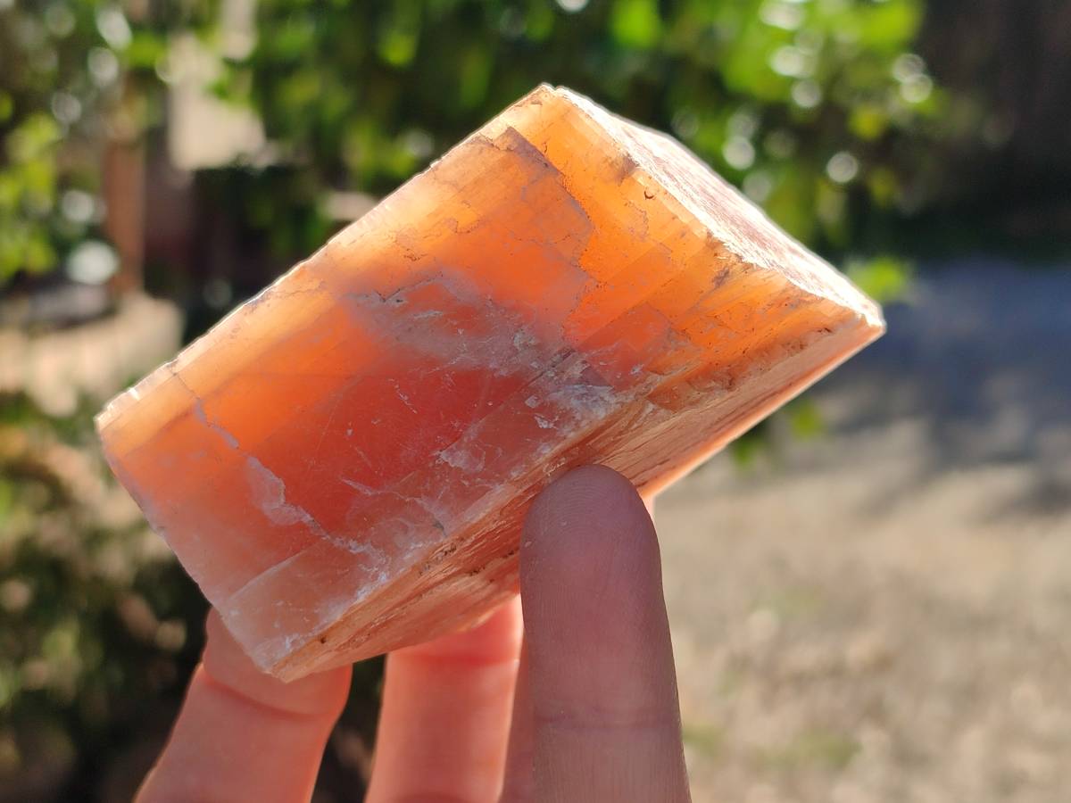 Natural Sunset Orange Calcite Specimens x 6 From Spitzkop, Namibia - Toprock Gemstones and Minerals 