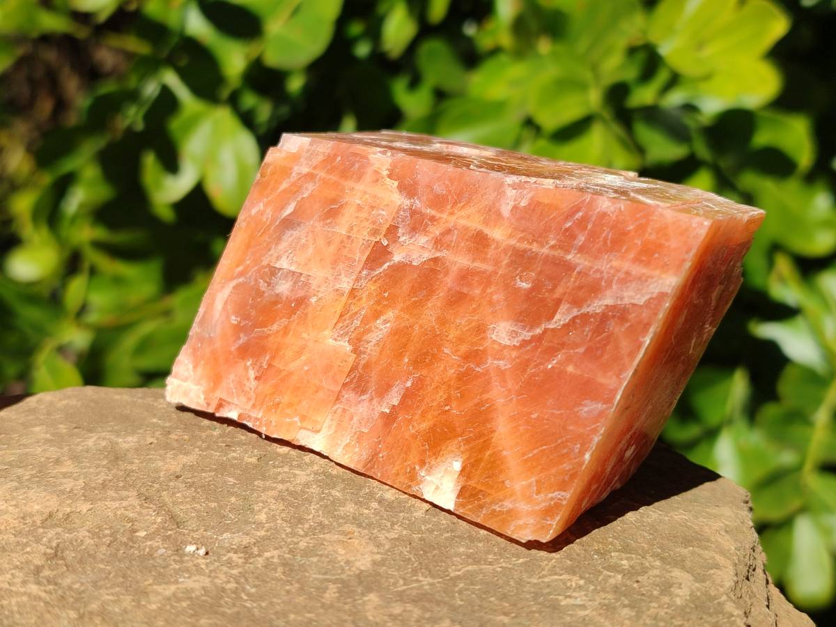 Natural Sunset Orange Calcite Specimens x 6 From Spitzkop, Namibia - Toprock Gemstones and Minerals 