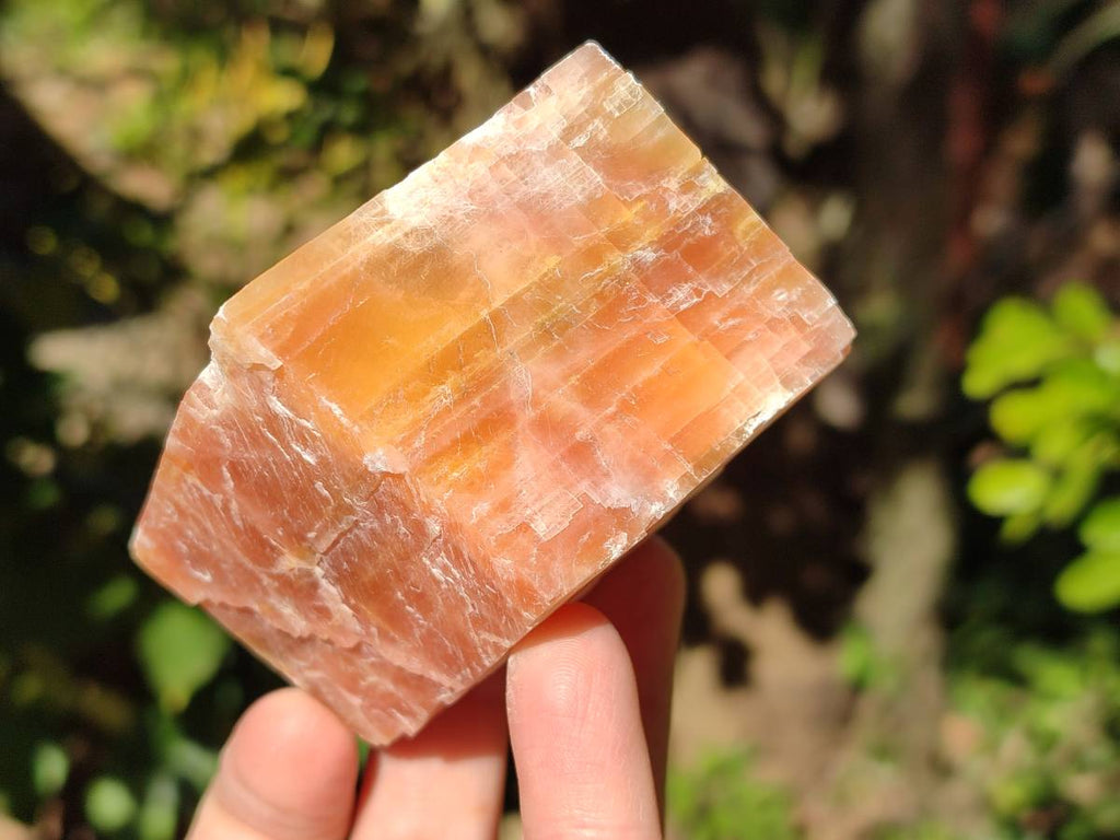 Natural Sunset Orange Calcite Specimens x 6 From Spitzkop, Namibia - Toprock Gemstones and Minerals 
