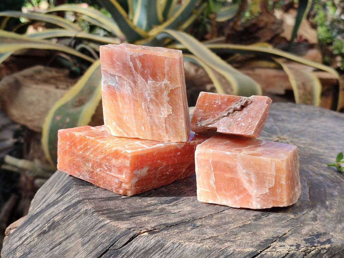 Natural Sunset Orange Calcite Specimens x 6 From Spitzkop, Namibia - Toprock Gemstones and Minerals 