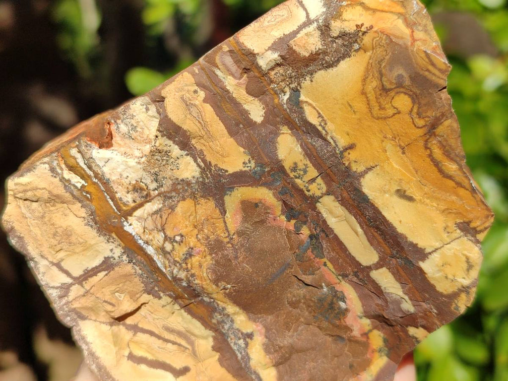 Natural Nguni Jasper Cobbed Specimens x 12 From Prieska, South Africa - Toprock Gemstones and Minerals 