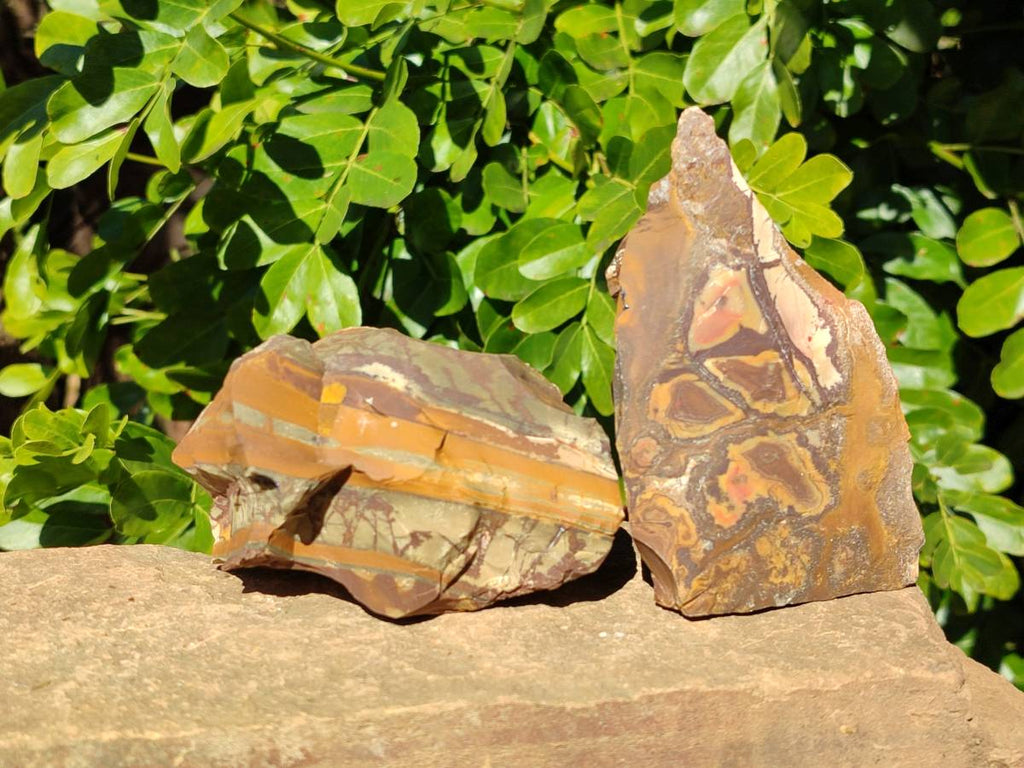 Natural Nguni Jasper Cobbed Specimens x 12 From Prieska, South Africa - Toprock Gemstones and Minerals 