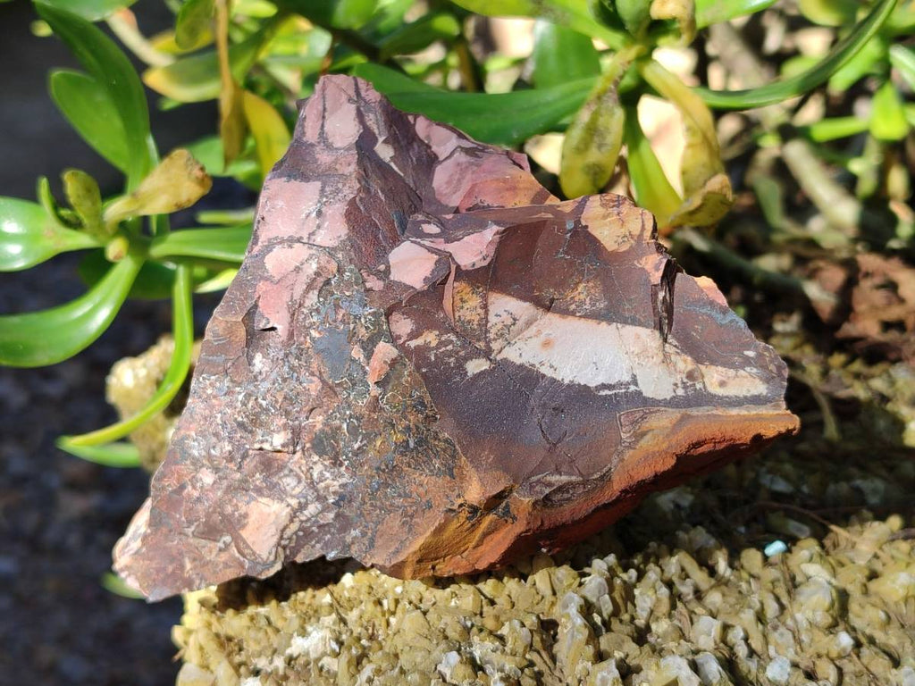 Natural Nguni Jasper Cobbed Specimens x 12 From Prieska, South Africa - Toprock Gemstones and Minerals 