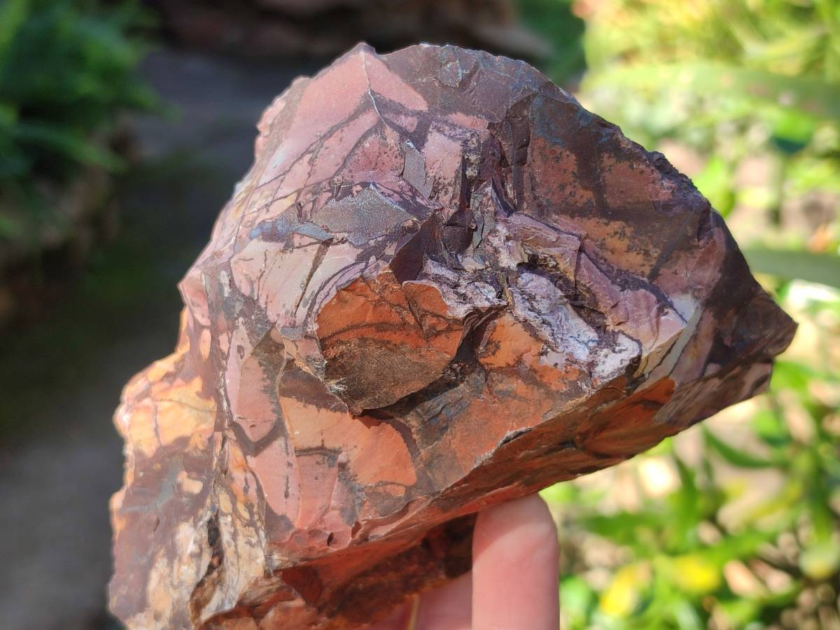 Natural Nguni Jasper Cobbed Specimens x 12 From Prieska, South Africa - Toprock Gemstones and Minerals 