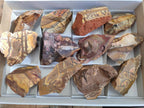 Natural Nguni Jasper Cobbed Specimens x 12 From Prieska, South Africa - Toprock Gemstones and Minerals 
