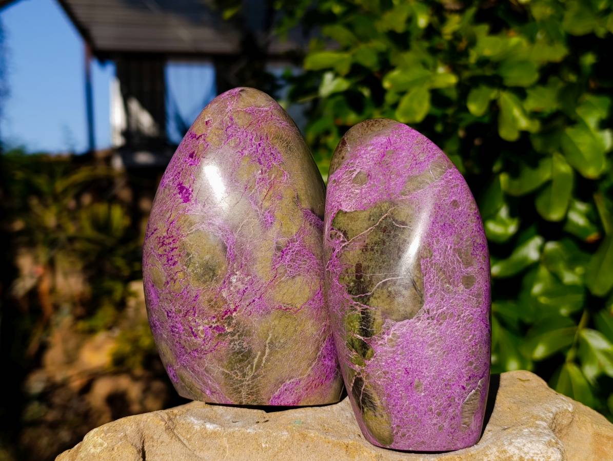 Polished Stichtite Standing Free Forms x 2 From Barberton, South Africa - Toprock Gemstones and Minerals 