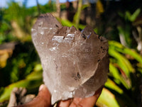 Natural Cascading Smokey Quartz Crystals x 3 From Zomba, Malawi