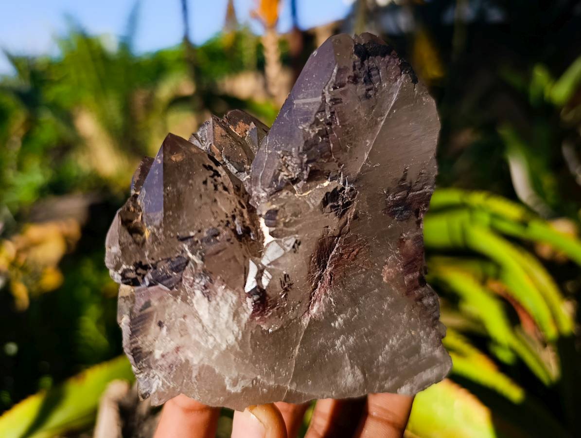 Natural Cascading Smokey Quartz Crystals x 3 From Zomba, Malawi - Toprock Gemstones and Minerals 