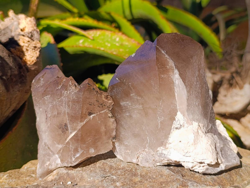 Natural Cascading Smokey Quartz Crystals x 3 From Zomba, Malawi - Toprock Gemstones and Minerals 