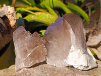 Natural Cascading Smokey Quartz Crystals x 3 From Zomba, Malawi