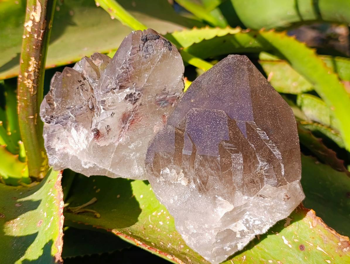 Natural Cascading Smokey Quartz Crystals x 3 From Zomba, Malawi - Toprock Gemstones and Minerals 