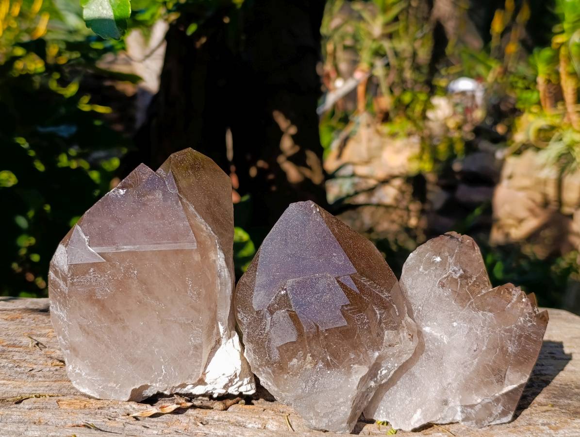 Natural Cascading Smokey Quartz Crystals x 3 From Zomba, Malawi - Toprock Gemstones and Minerals 