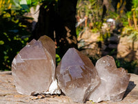 Natural Cascading Smokey Quartz Crystals x 3 From Zomba, Malawi