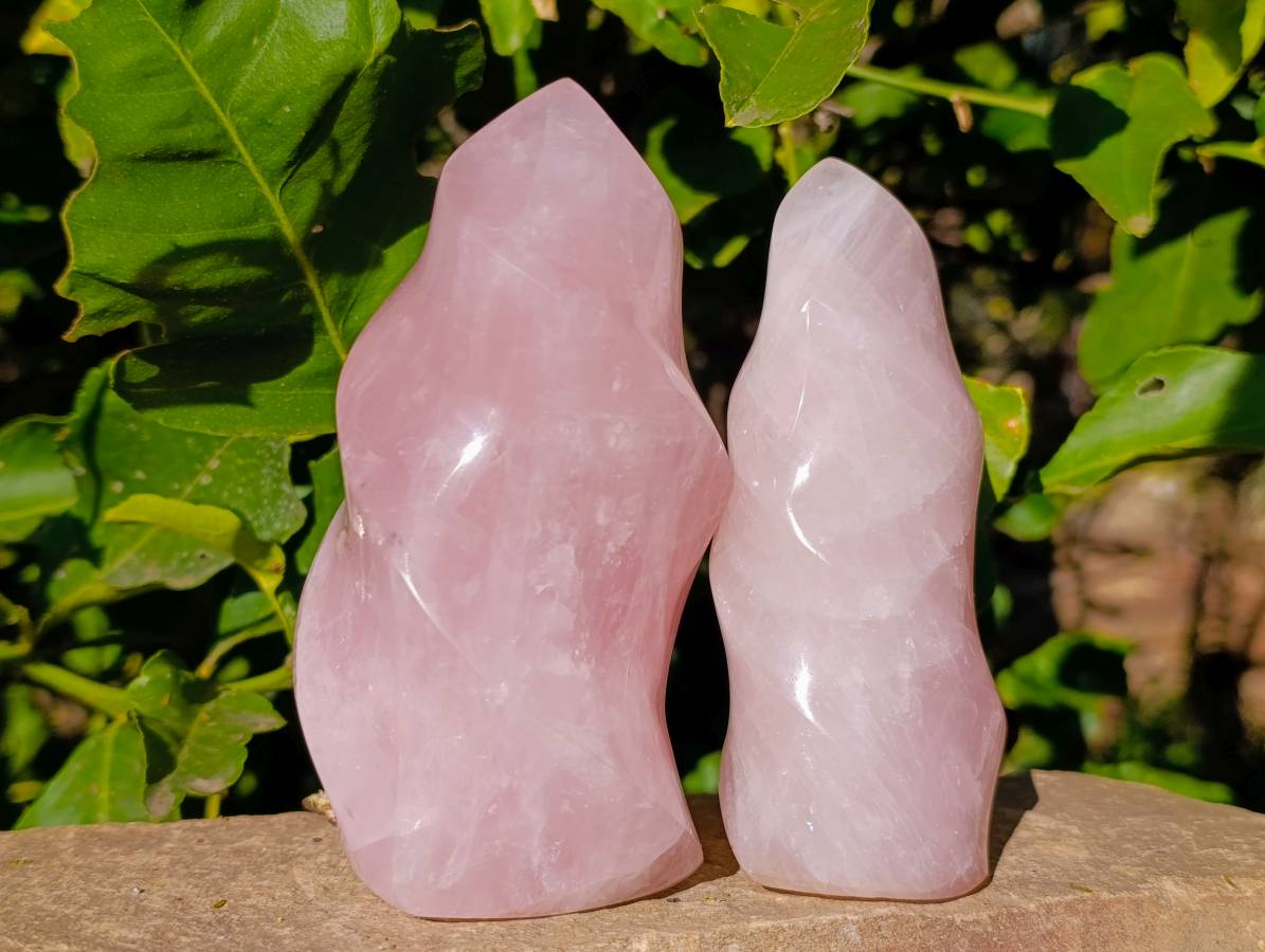Polished Rose Quartz Flames x 2 Madagascar - Toprock Gemstones and Minerals 