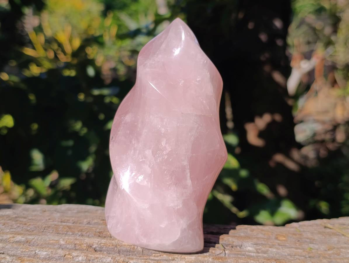 Polished Rose Quartz Flames x 2 Madagascar - Toprock Gemstones and Minerals 
