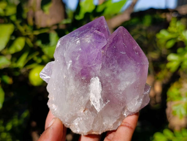 Natural Jacaranda Amethyst Quartz Clusters x 6 From Mumbwa, Zambia