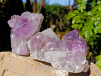 Natural Jacaranda Amethyst Quartz Clusters x 6 From Mumbwa, Zambia