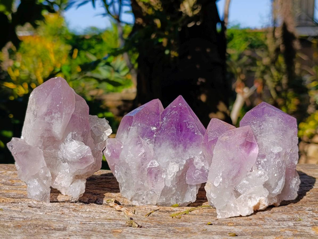 Natural Jacaranda Amethyst Quartz Clusters x 6 From Mumbwa, Zambia - Toprock Gemstones and Minerals 