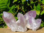 Natural Jacaranda Amethyst Quartz Clusters x 6 From Mumbwa, Zambia - Toprock Gemstones and Minerals 