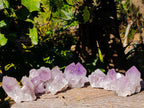 Natural Jacaranda Amethyst Quartz Clusters x 6 From Mumbwa, Zambia - Toprock Gemstones and Minerals 