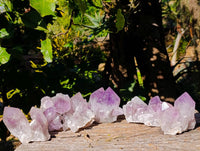 Natural Jacaranda Amethyst Quartz Clusters x 6 From Mumbwa, Zambia