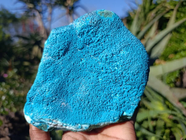 Natural Botryoidal Malacolla Specimen x 1 From Kulukuluku, Congo