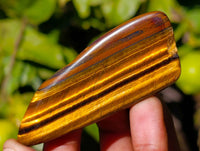 Polished Tiger's Eye Tumbled Stones x 2.7 Kg Lot From Prieska, South Africa - Toprock Gemstones and Minerals 
