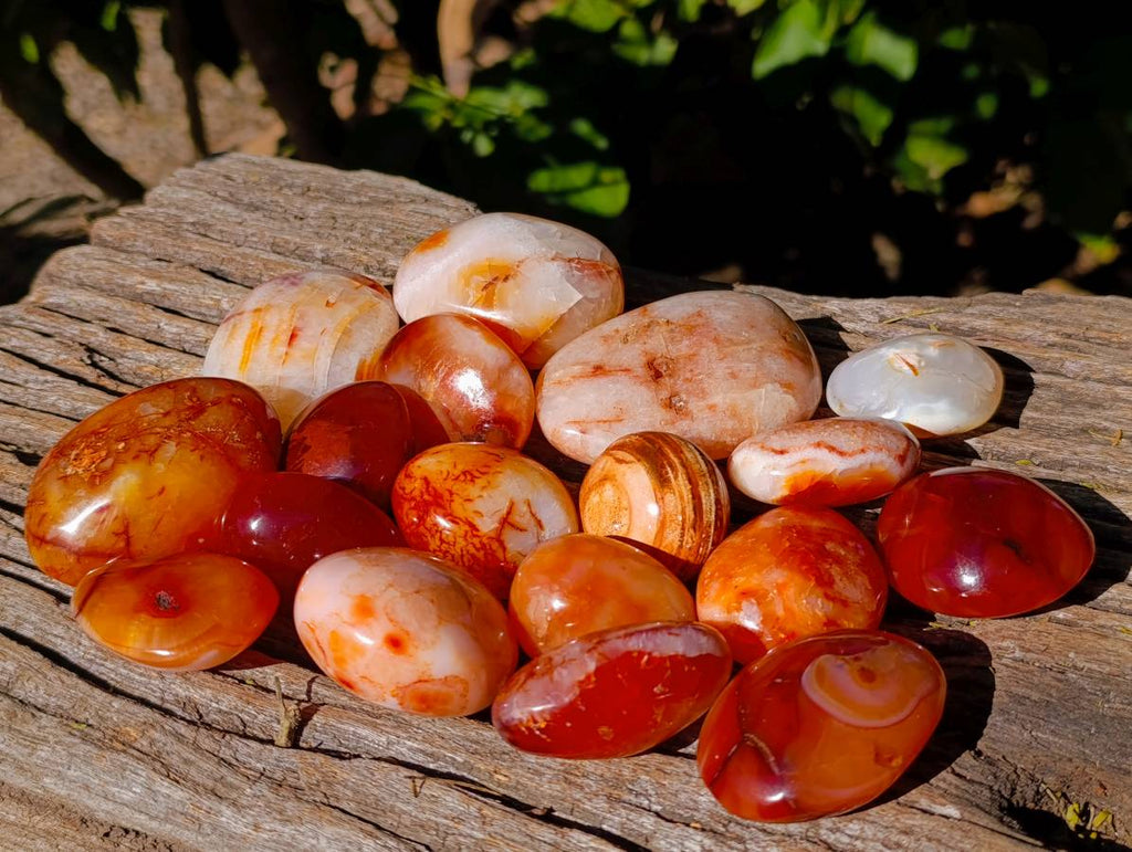 Polished Carnelian Agate Palm Stones x 18 From Madagascar - Toprock Gemstones and Minerals 