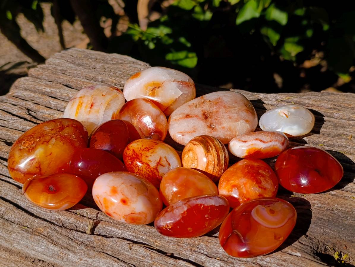 Polished Carnelian Agate Palm Stones x 18 From Madagascar - Toprock Gemstones and Minerals 