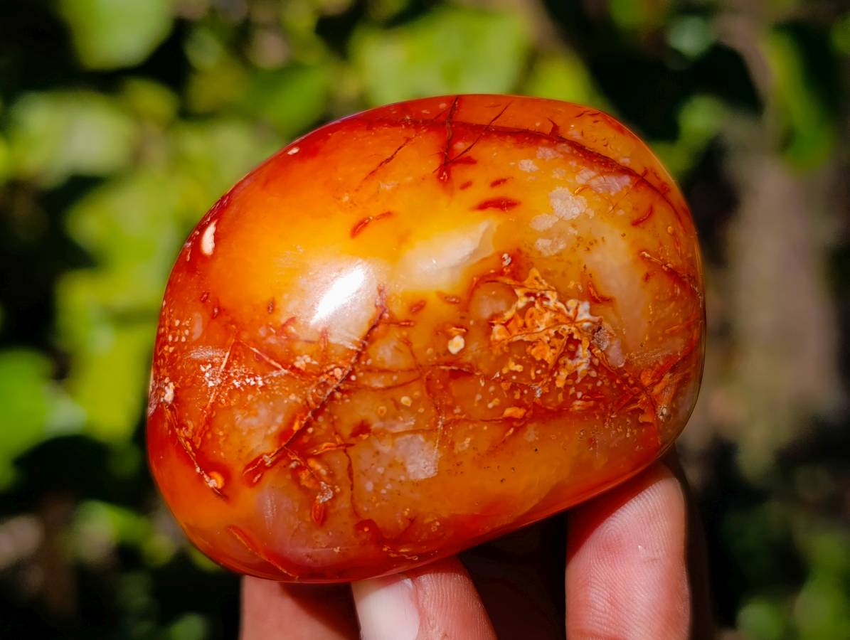 Polished Carnelian Agate Palm Stones x 18 From Madagascar - Toprock Gemstones and Minerals 