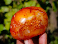 Polished Carnelian Agate Palm Stones x 18 From Madagascar - Toprock Gemstones and Minerals 