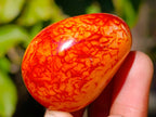 Polished Carnelian Agate Palm Stones x 18 From Madagascar - Toprock Gemstones and Minerals 