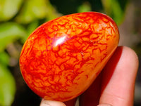 Polished Carnelian Agate Palm Stones x 18 From Madagascar - Toprock Gemstones and Minerals 