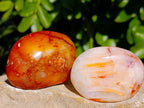 Polished Carnelian Agate Palm Stones x 18 From Madagascar - Toprock Gemstones and Minerals 