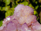 Natural Amethyst Spirit Quartz Clusters x 2 From Boekenhouthoek, South Africa - Toprock Gemstones and Minerals 