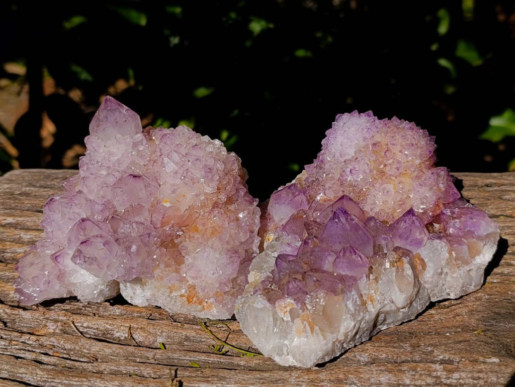 Natural Amethyst Spirit Quartz Clusters x 2 From Boekenhouthoek, South Africa - Toprock Gemstones and Minerals 