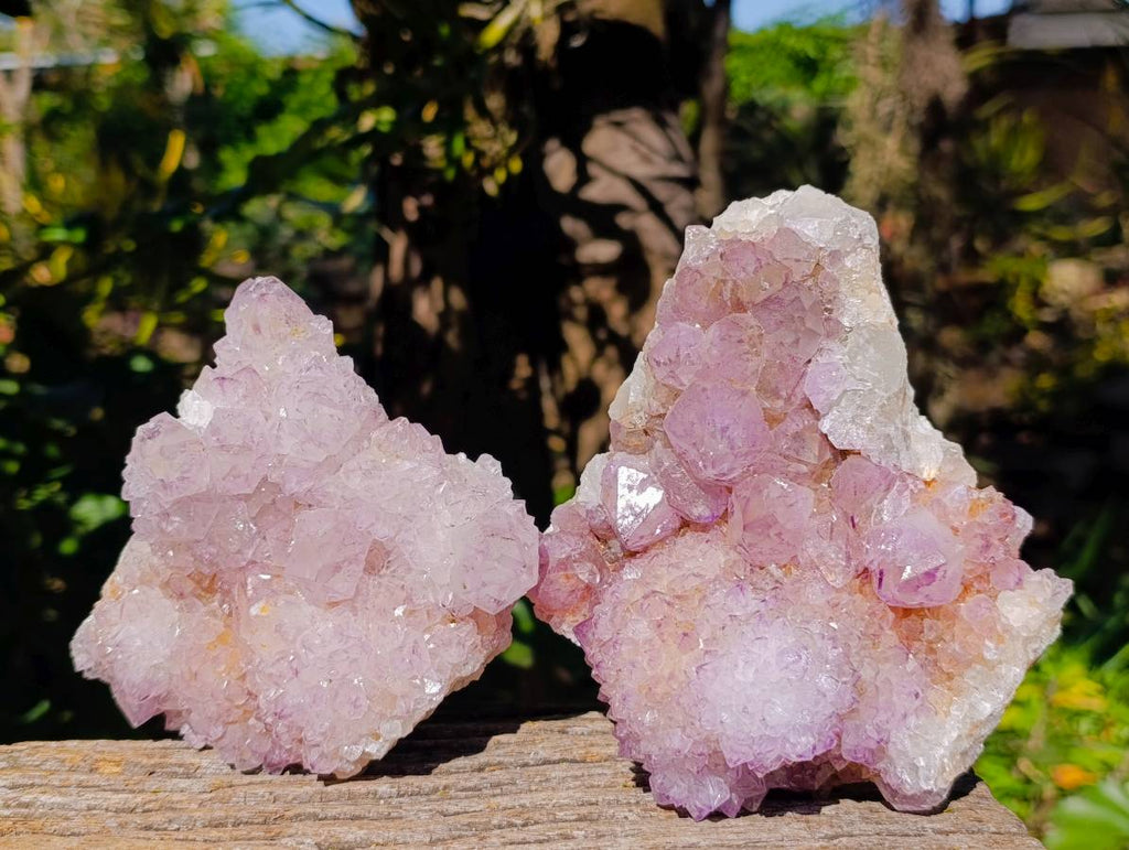Natural Amethyst Spirit Quartz Clusters x 2 From Boekenhouthoek, South Africa - Toprock Gemstones and Minerals 