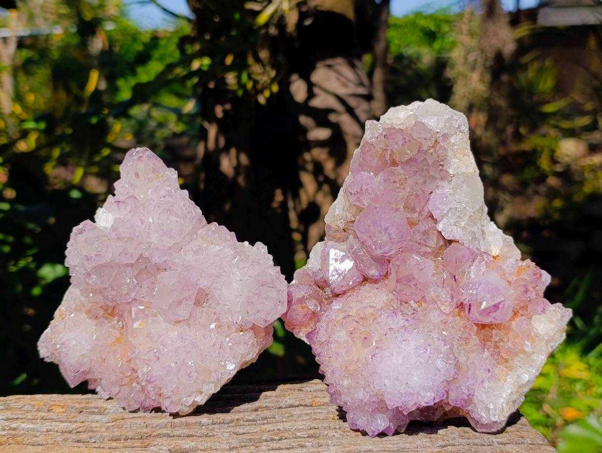 Natural Amethyst Spirit Quartz Clusters x 2 From Boekenhouthoek, South Africa - Toprock Gemstones and Minerals 