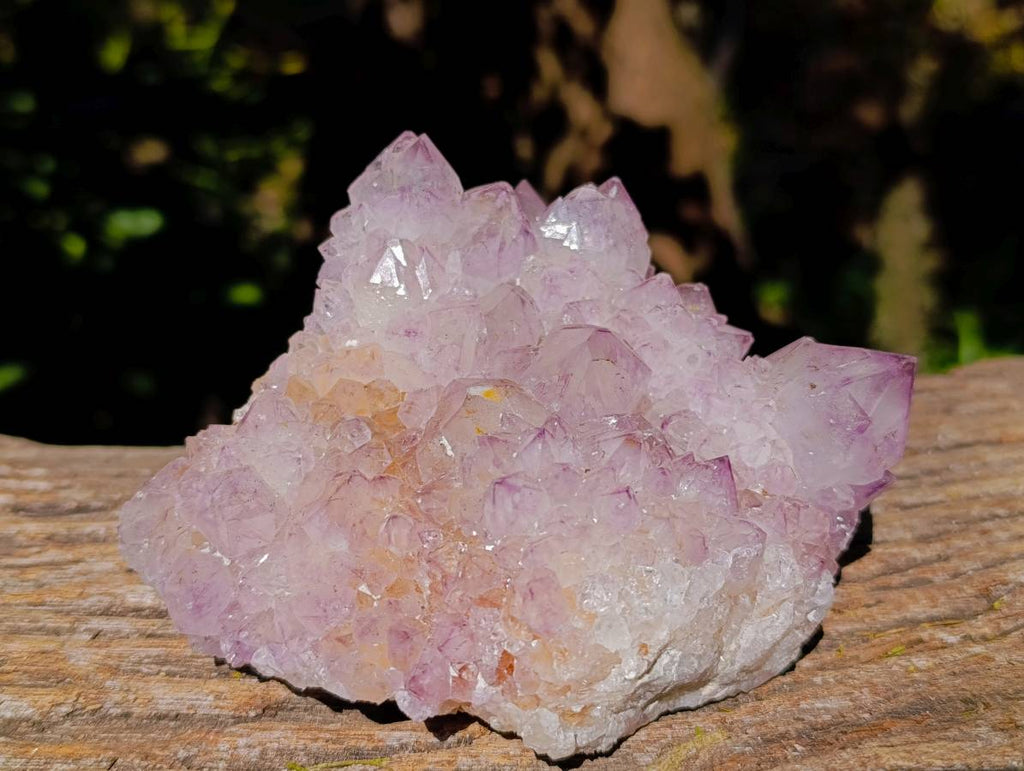 Natural Amethyst Spirit Quartz Clusters x 2 From Boekenhouthoek, South Africa - Toprock Gemstones and Minerals 