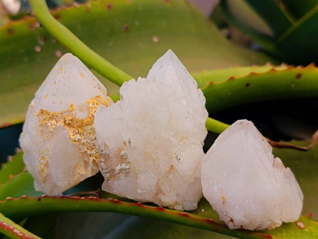 Natural Cascading Pineapple Candle Quartz Clusters x 13 From Madagascar - Toprock Gemstones and Minerals 