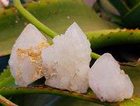 Natural Cascading Pineapple Candle Quartz Clusters x 13 From Madagascar