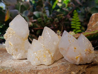Natural Cascading Pineapple Candle Quartz Clusters x 13 From Madagascar