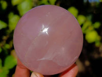 Polished Rose Quartz Spheres x 4 Madagascar - Toprock Gemstones and Minerals 
