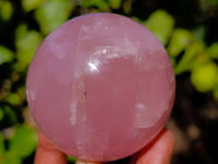 Polished Rose Quartz Spheres x 4 Madagascar - Toprock Gemstones and Minerals 