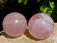 Polished Rose Quartz Spheres x 4 Madagascar - Toprock Gemstones and Minerals 