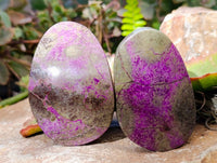Polished Stichtite Free Forms x 6 From Barberton, South Africa - Toprock Gemstones and Minerals 