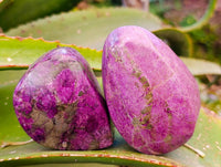 Polished Stichtite Free Forms x 6 From Barberton, South Africa - Toprock Gemstones and Minerals 